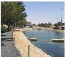 Water Features Construction